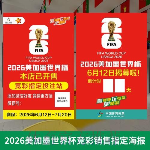 世界杯投注深度解读与入口导航